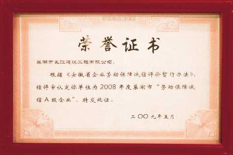 2008巢湖市劳动保障诚信A级企业
