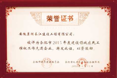 2015合肥市农民工维权先进企业