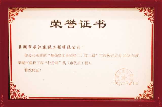 2008巢湖市建设工程“牡丹杯”
