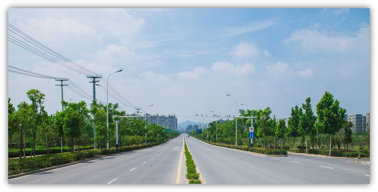 安成路绿化