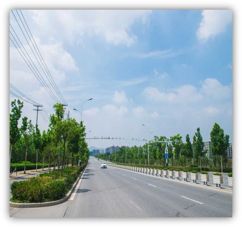 安成路绿化2