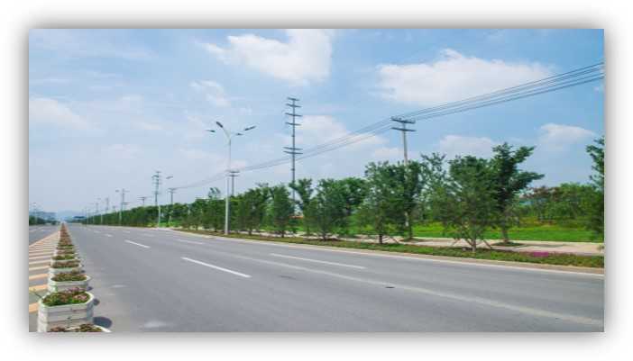 安成路绿化3
